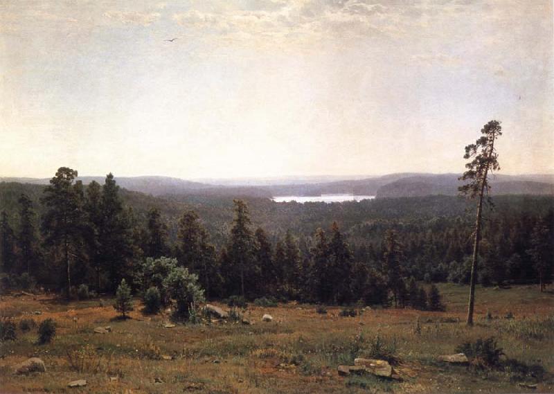Ivan Shishkin Landscape of the Forest Norge oil painting art